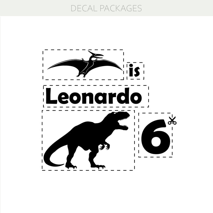 Custom Dinosaur Birthday Vinyl Decal – Personalized Name & Age Party Decoration for Kids w111