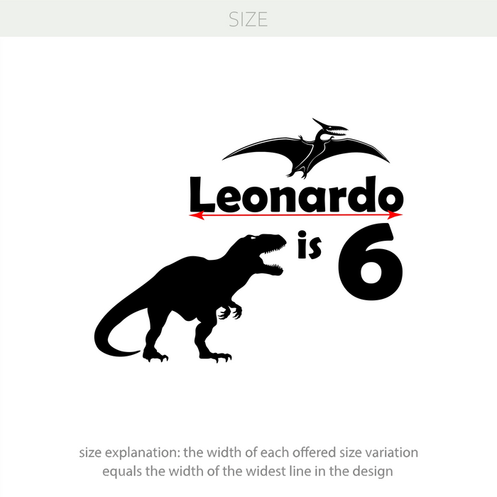 Custom Dinosaur Birthday Vinyl Decal – Personalized Name & Age Party Decoration for Kids w111