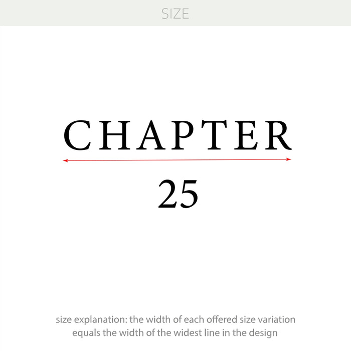 Custom “Chapter” Birthday Vinyl Decal – Personalized Milestone Age Backdrop Decoration w131