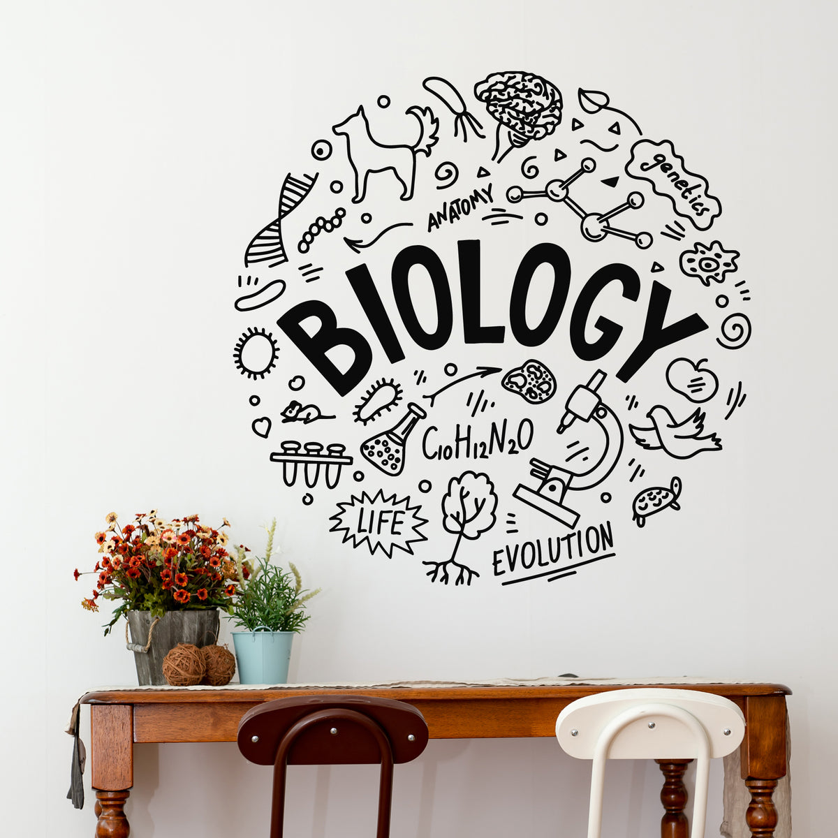 Vinyl Wall Decal Classroom Biology Anatomy Evolution Life Stickers Mur ...