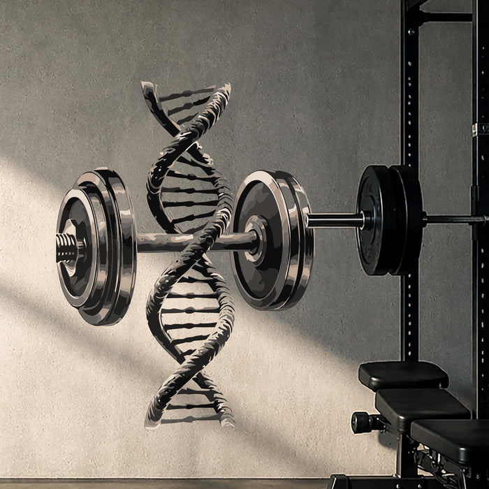Colorful Gym And Sport  Wall Decal DNA Dumbbell z5733