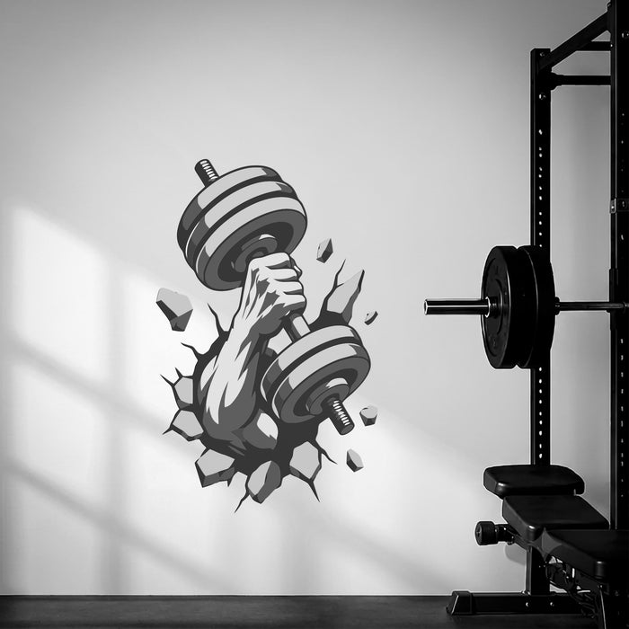 Colorful Gym And Sport Dumbbell Wall Decal Mural z5741