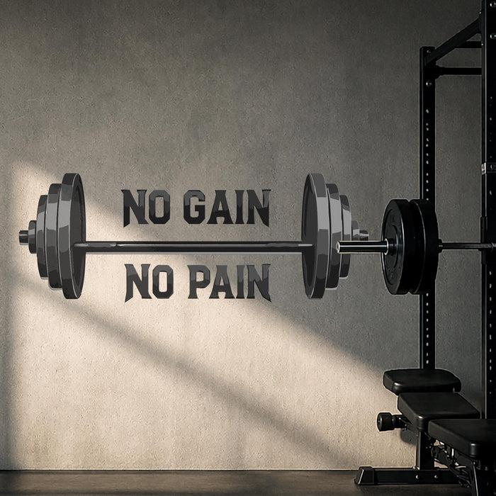 ColorfulGym And Sport Barbell No Pain No Gain Decal z5818