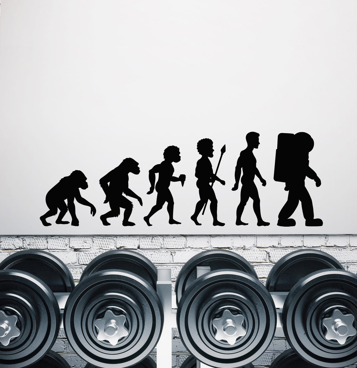 Vinyl Wall Decal Biology Evolution Teen Rooms Astronaut Stickers Mural ...