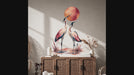 Video tour of the pair of cranes wall decal