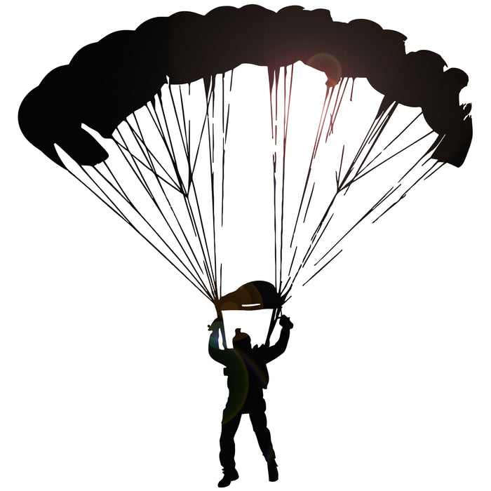 Vinyl Wall Decal Skydiver Parachutist Extreme Sport Skydiving Stickers Unique Gift (ig3445)