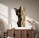 Colorful Peeking Black Cat on Wood Vinyl Wall Decal Art displayed in a boho interior interior