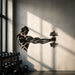 Athlete holding a dumbbell wall decal in a bright home gym