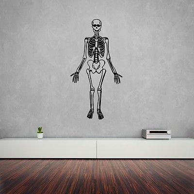 Wall Stickers Vinyl Decal Skeleton Bones Anatomy Death  ig1462