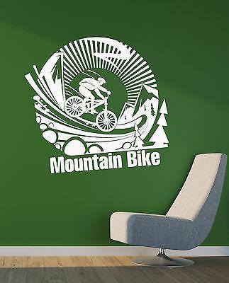 Wall Vinyl Sticker Mountain Bike Extreme Sports Art Bicycle Boys Room Unique Gift (ig2041)