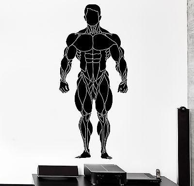 Wall Sticker Sport Bodybuilder Fitness Muscle Man Bodybuilding Vinyl D ...