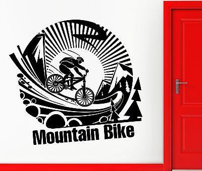 Wall Sticker Vinyl Decal Extreme Sports Mountain Bike Cool Room Decor Unique Gift (ig2041)