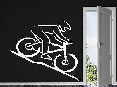 Wall Vinyl Sticker Decal Mountain Bike Racer Rugged Terrain Competition Unique Gift (n270)