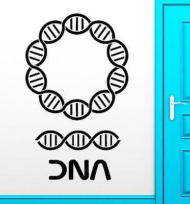 DNA Wall Stickers Genealogy Biology Chemistry School Science Vinyl Decal Unique Gift ig2425