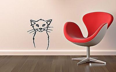 Wall Stickers Vinyl Decal Animal Cat Kitten Pet Unique Gift ig1571