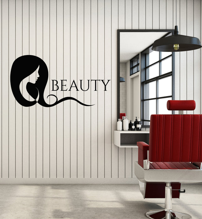 Vinyl Wall Decal Beauty Hair Salon Abstract Girl Fashion Decor Stickers Mural (g5964)