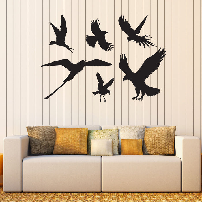 Birds Vinyl Wall Decal Collection Eagle Parrot Stickers Mural (k144)