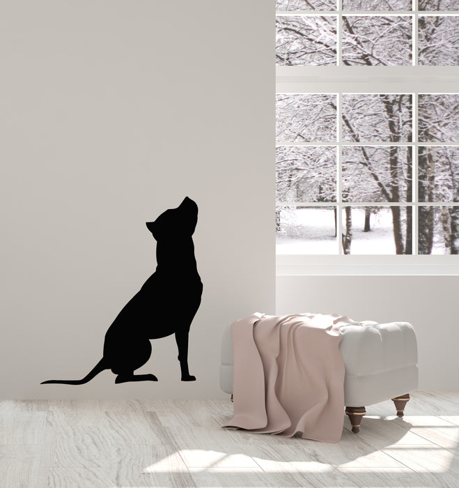 Vinyl Wall Decal Dog Pitbull Cute Animal Veterinary Grooming Stickers Mural (g1422)