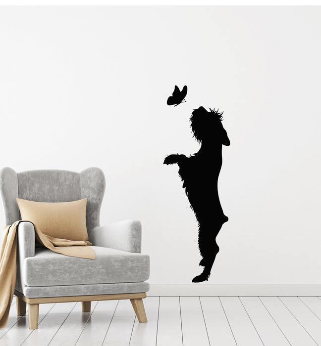 Vinyl Wall Decal Dog Butterfly Pet Home Animal Care Nursery Stickers Mural (g1546)