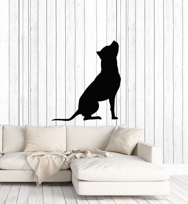 Vinyl Wall Decal Dog Pitbull Cute Animal Veterinary Grooming Stickers Mural (g1422)