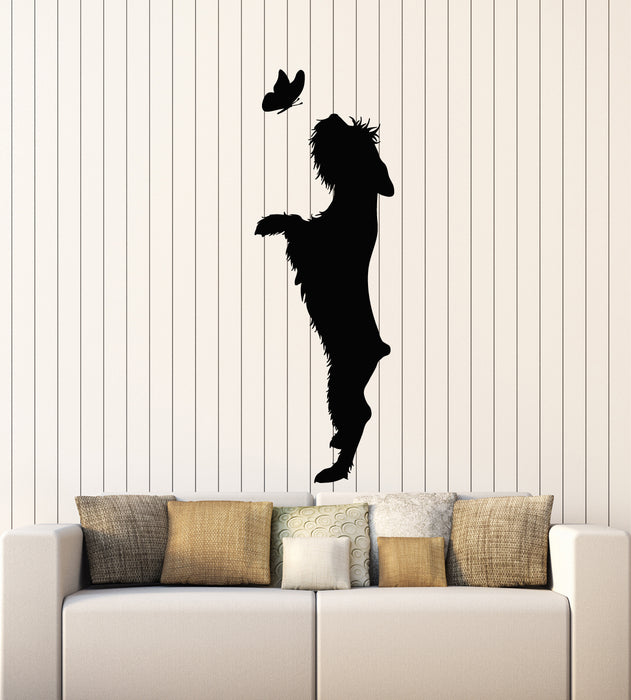 Vinyl Wall Decal Dog Butterfly Pet Home Animal Care Nursery Stickers Mural (g1546)
