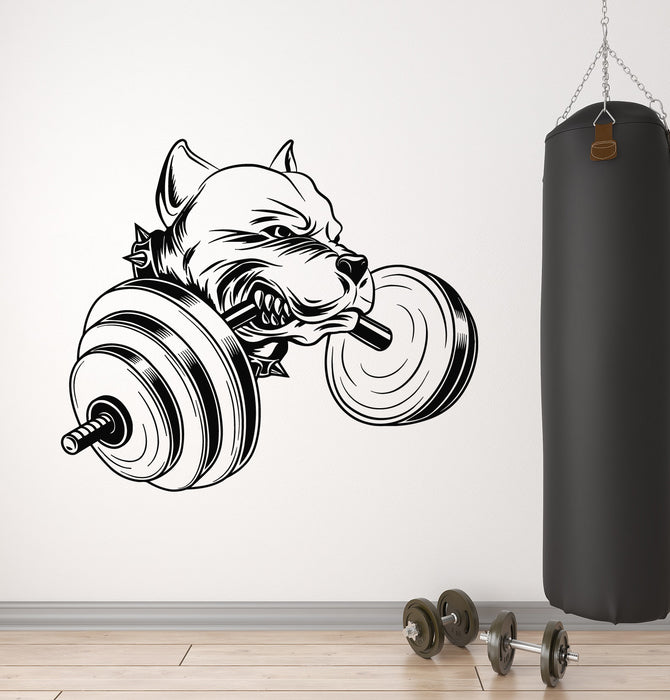 Vinyl Wall Decal Angry Dog Pet  Barbell Gym Logo Sport Club Stickers Mural (g6481)