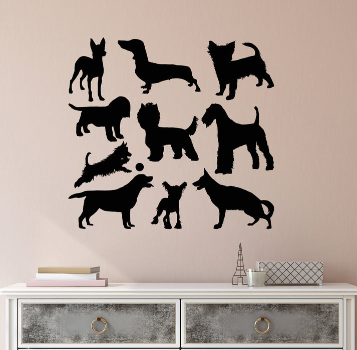Vinyl Wall Decal Silhouette Dog Breeds Pets Shop Care Decor Stickers Mural (g8115)