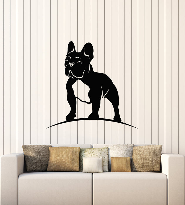 Vinyl Wall Decal Puppy Dog French Bulldog Pets Grooming Stickers Mural (g7420)
