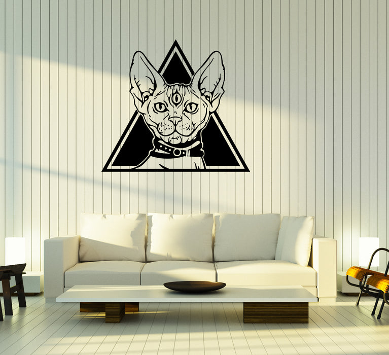 Wall Decal Animal Pet Сlairvoyance Cat Magic Vinyl Sticker (ed1514)