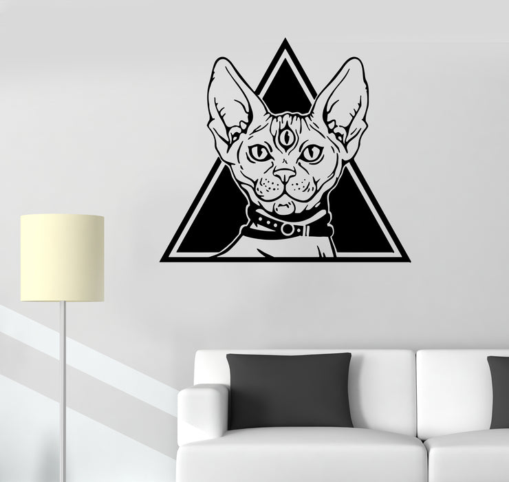 Wall Decal Animal Pet Сlairvoyance Cat Magic Vinyl Sticker (ed1514)