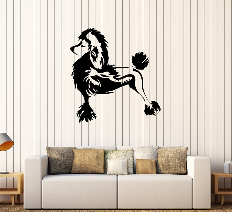 Wall Decal Dog Pet Beautiful Poodle Friend Vinyl Sticker (ed1843)