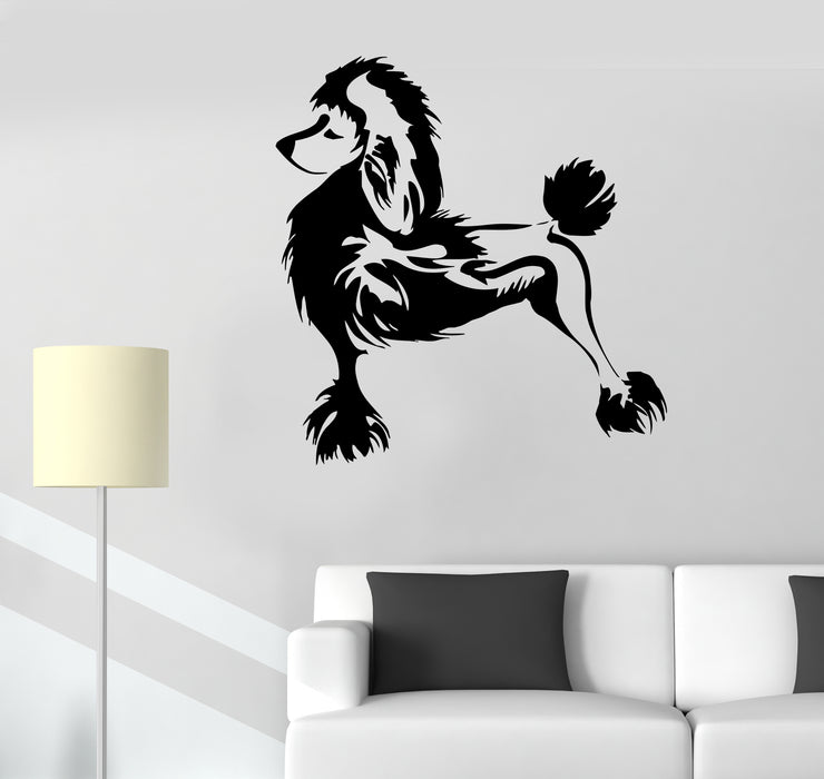 Wall Decal Dog Pet Beautiful Poodle Friend Vinyl Sticker (ed1843)