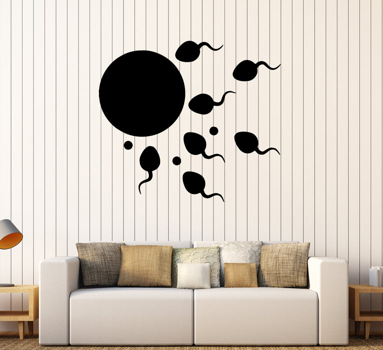 Autocollant mural en vinyle pour fécondation, ovule, sperme, physiologie (ed2200)
