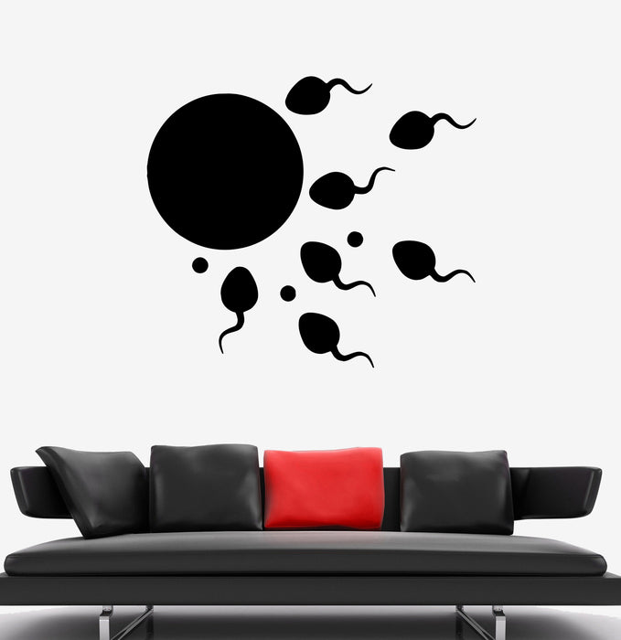 Autocollant mural en vinyle pour fécondation, ovule, sperme, physiologie (ed2200)