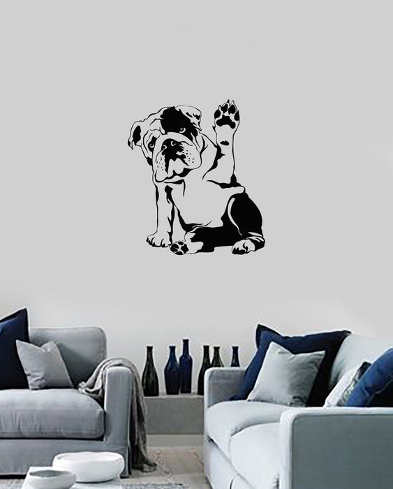 Vinyl Wall Decal English Bulldog Dog Pet Veterinary Grooming Salon Stickers Mural (ig5938)