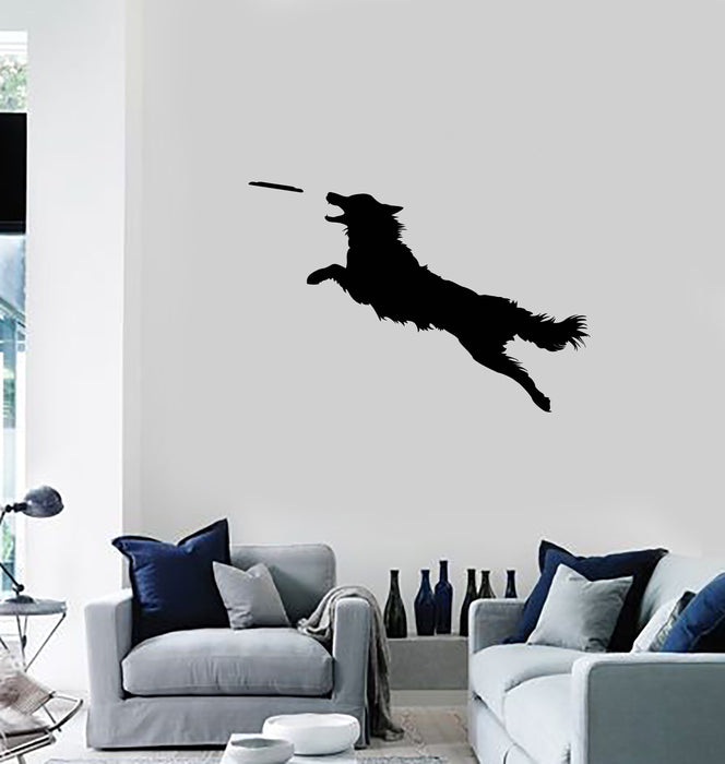 Vinyl Wall Decal Dog Frisbee Disc Pet Shop Animal Decor Art Stickers Mural (ig5642)