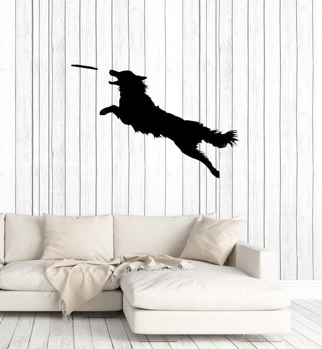 Autocollant mural en vinyle pour chien, disque de frisbee, animalerie, décoration d'animaux, autocollants d'art, fresque murale (ig5642)