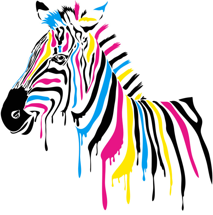 Full Color Zebra African Animal Rainbow Kids Nursery Room Cool Interior Exterior for Walls or Cars alc001