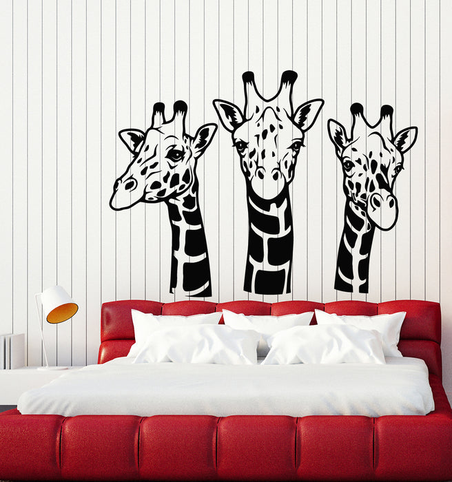 Vinyl Wall Decal African Wild Giraffes Head Long Neck Animal Nature Stickers Mural (g5515)