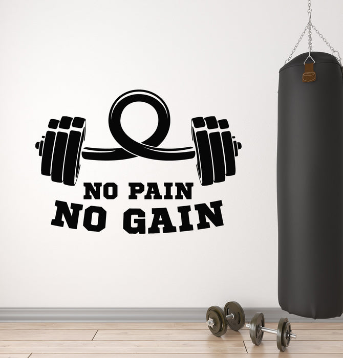 Vinyl Wall Decal Motivation Words Sports Gym No Pain No Gain Stickers Mural (g5013)