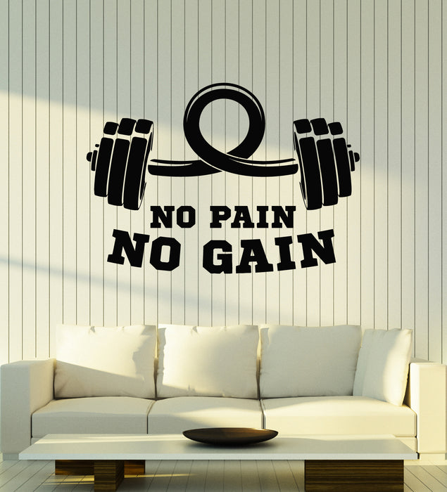 Vinyl Wall Decal Motivation Words Sports Gym No Pain No Gain Stickers Mural (g5013)