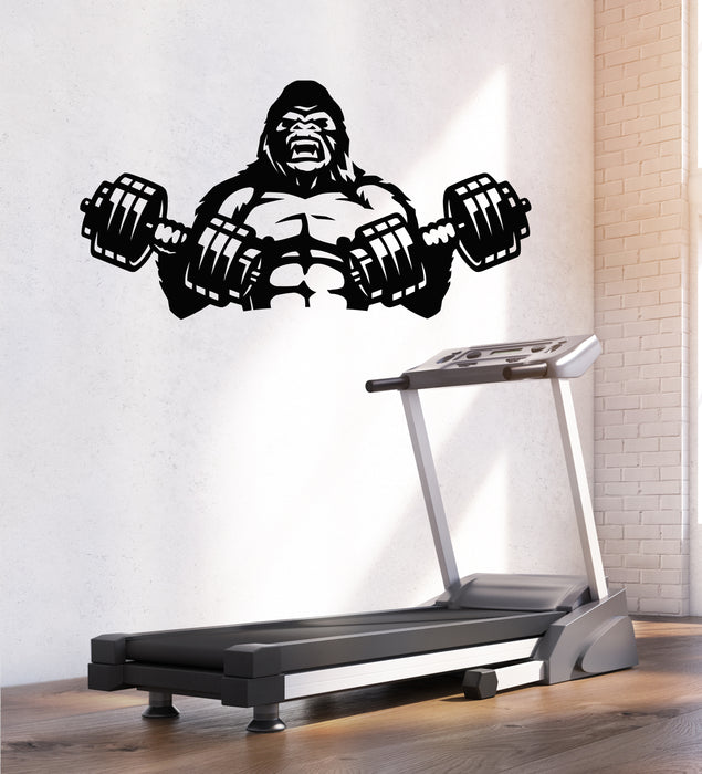 Vinyl Wall Decal Fitness Gym Angry Gorilla With Two Dumbbells Bodybuilding Stickers Mural (g8454)