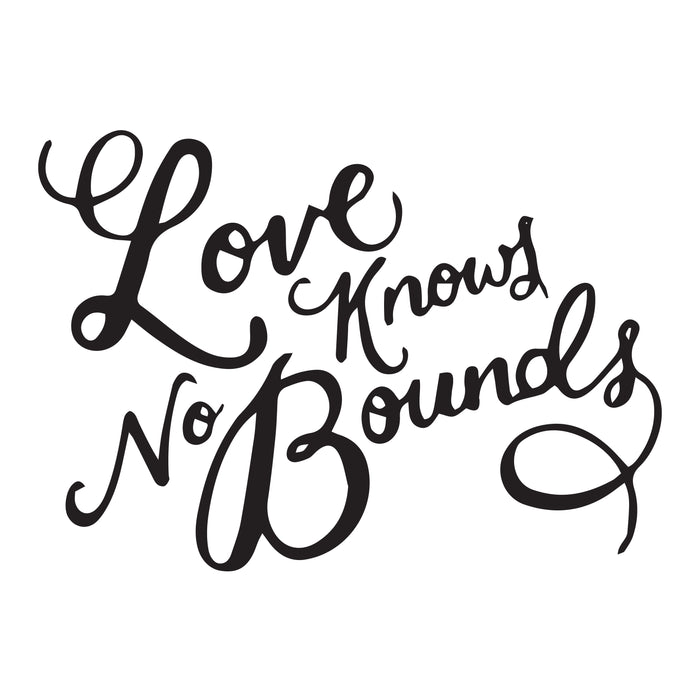 Wall Decal Love Bounds Positive Motivation Interior Vinyl Decor Black 22.5 in x 16 in gz528