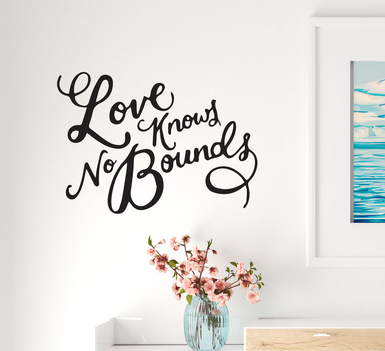 Wall Decal Love Bounds Positive Motivation Interior Vinyl Decor Black 22.5 in x 16 in gz528