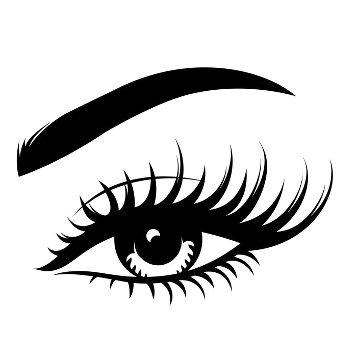 Wall Decal Eyebrow Girl Beauty Salon Female Face Interior Vinyl Decor Black 22.5 in x 17 in gz567