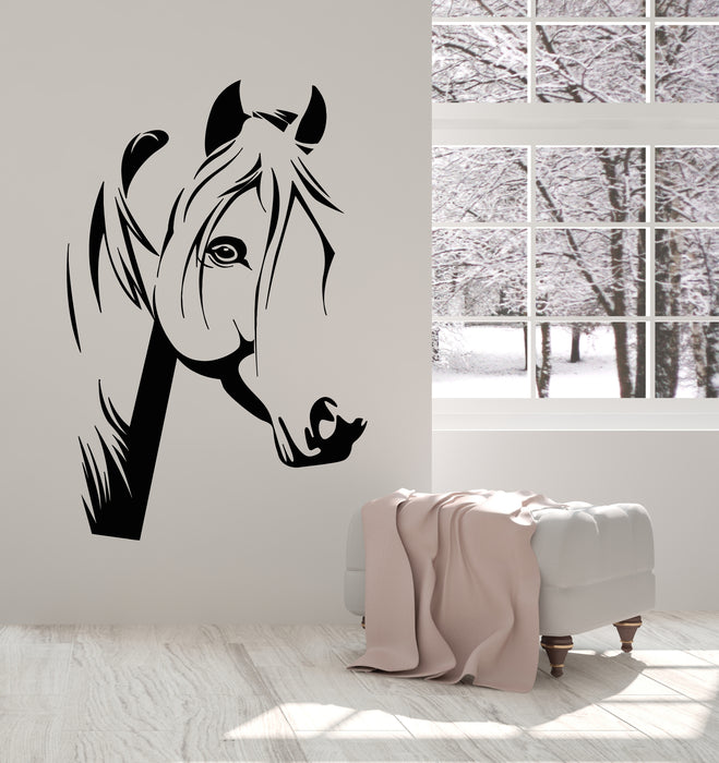 Vinyl Wall Decal Beautiful Horse Head Animal Stallion Decor Stickers Mural (g5103)