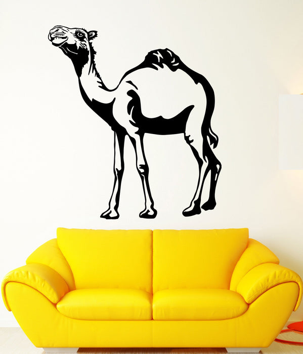 Vinyl Decal Africa Camel Zoo Wall Stickers Desert Animals Decor Unique Gift (ig2362)