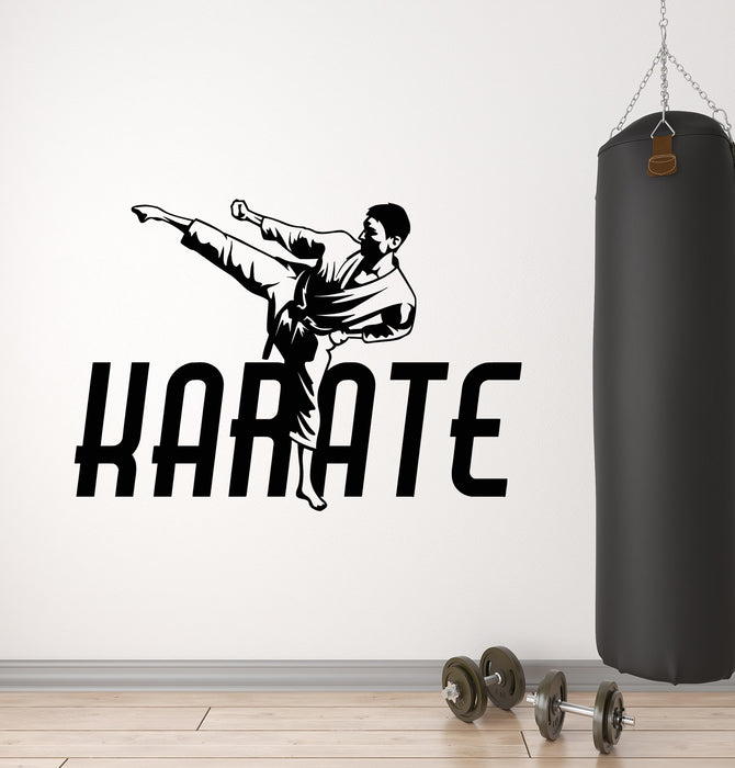 Vinyl Wall Decal Karate Martial Arts Fighter Kick Sport Stickers Mural (g2322)