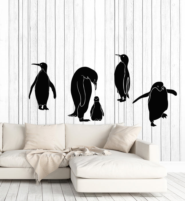 Vinyl Wall Decal Zoo Kids Room Funny Penguins Animals Decor Stickers Mural (g6448)