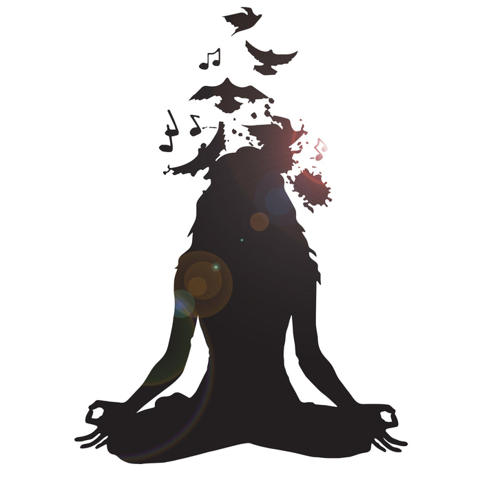 Vinyl Wall Decal Meditation Yoga Girl Woman Birds Music Musical Room Stickers Mural (ig6284)